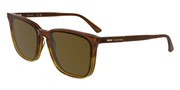 Calvin Klein CK25507S-203