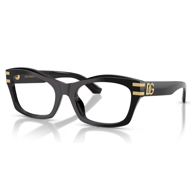DOLCE E GABBANA 0DG3420-501