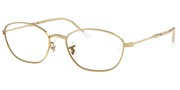 Ray Ban 0RX3749V-2500
