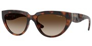 Vogue 0VO5629S-271813